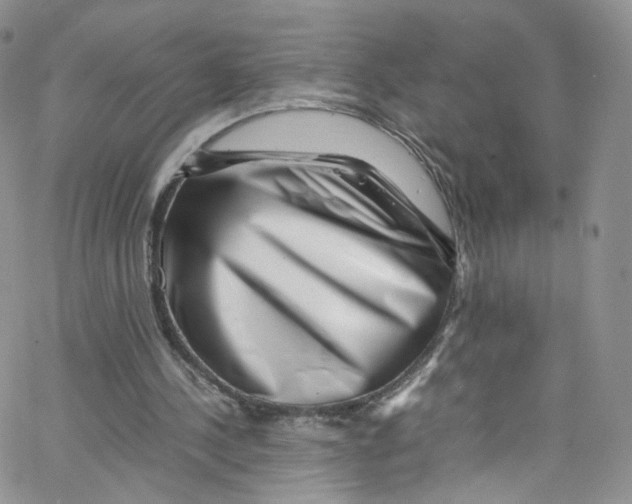 X0000065250244200603131135