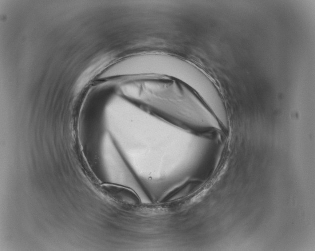 X0000065250245200603131135