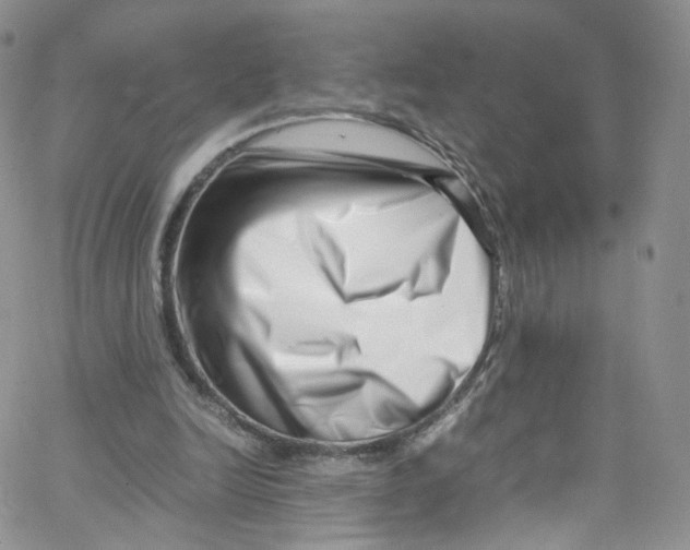 X0000065250246200603131135