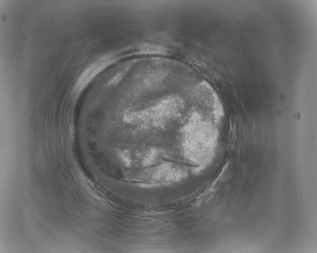 X0000065250247200603131135