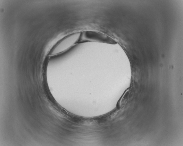 X0000065250248200603131135