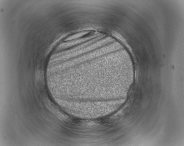 X0000065250249200603131135