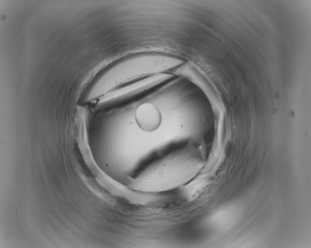 X0000065250252200603131135