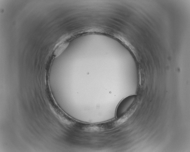 X0000065250253200603131135