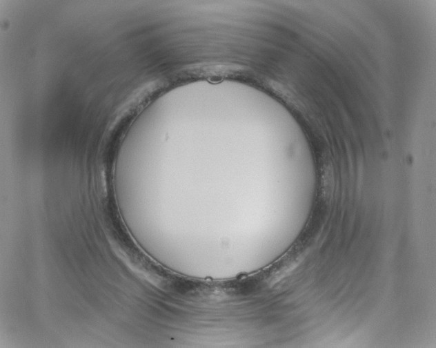 X0000065250254200603131135