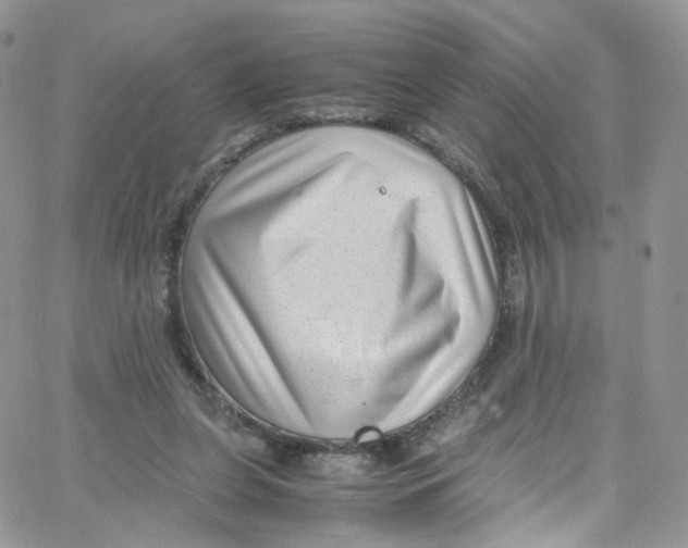 X0000065250255200603131135