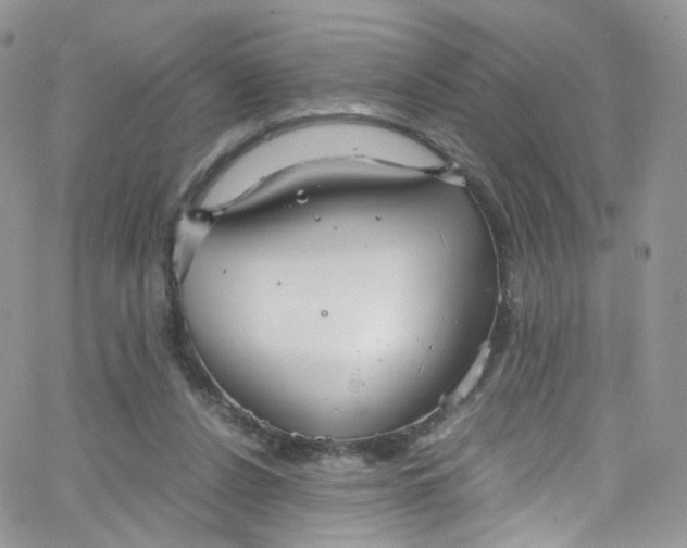 X0000065250256200603131135