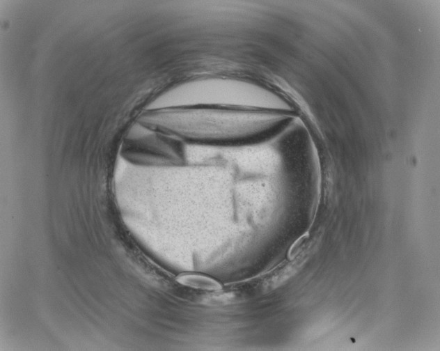 X0000065250257200603131135