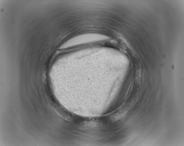 X0000065250259200603131135