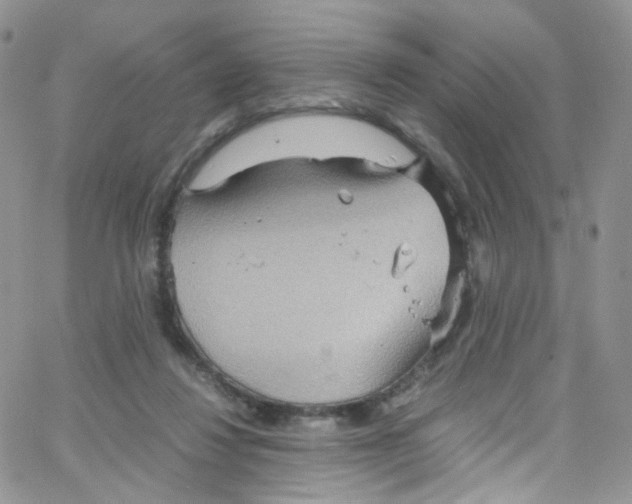 X0000065250260200603131135