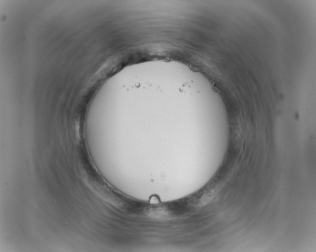 X0000065250262200603131135