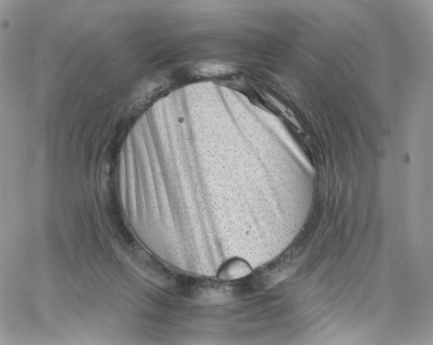 X0000065250263200603131135