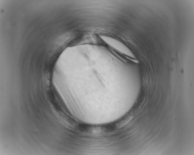 X0000065250264200603131135