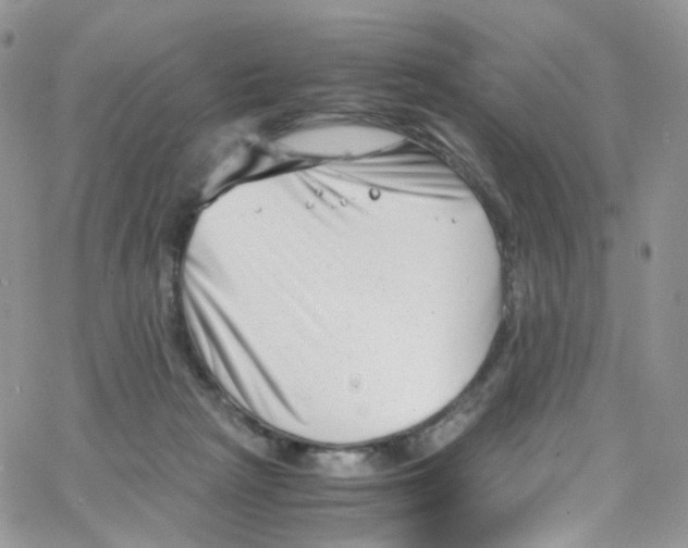 X0000065250265200603131135