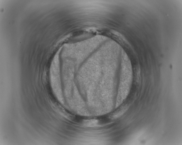 X0000065250266200603131135