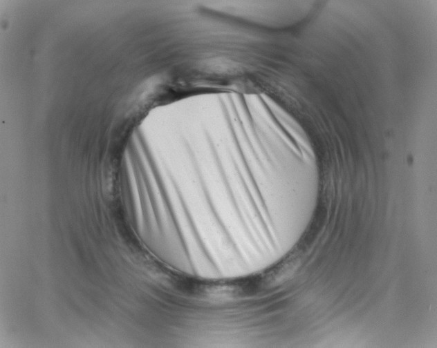 X0000065250268200603131135