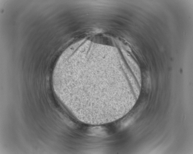 X0000065250269200603131135