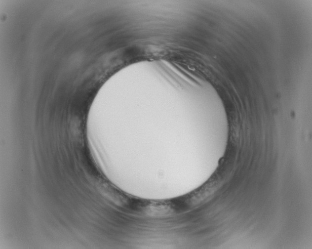 X0000065250270200603131135