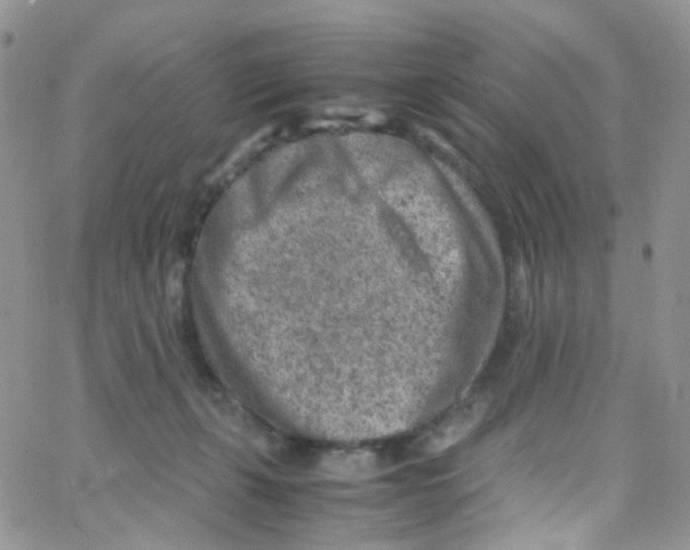 X0000065250271200603131135