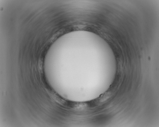 X0000065250274200603131135