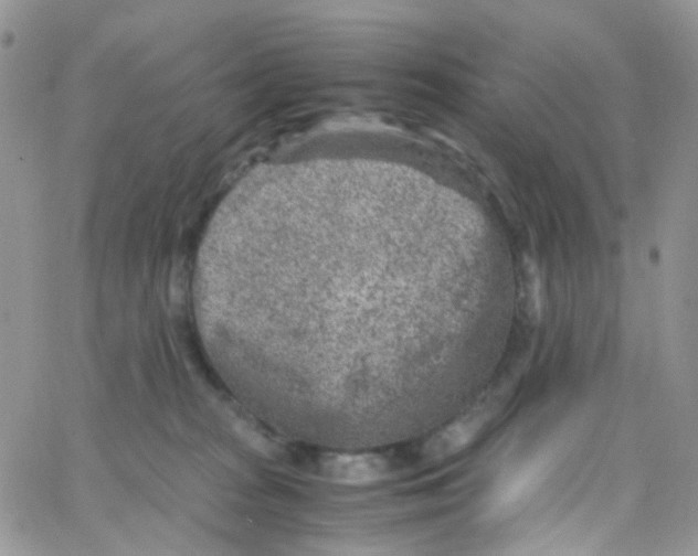 X0000065250277200603131135