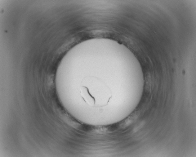 X0000065250278200603131135