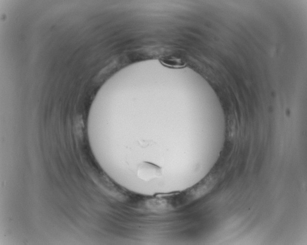 X0000065250279200603131135