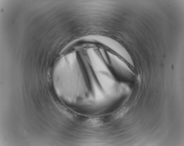 X0000065250280200603131135