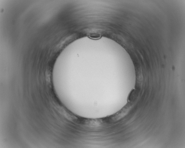 X0000065250282200603131135