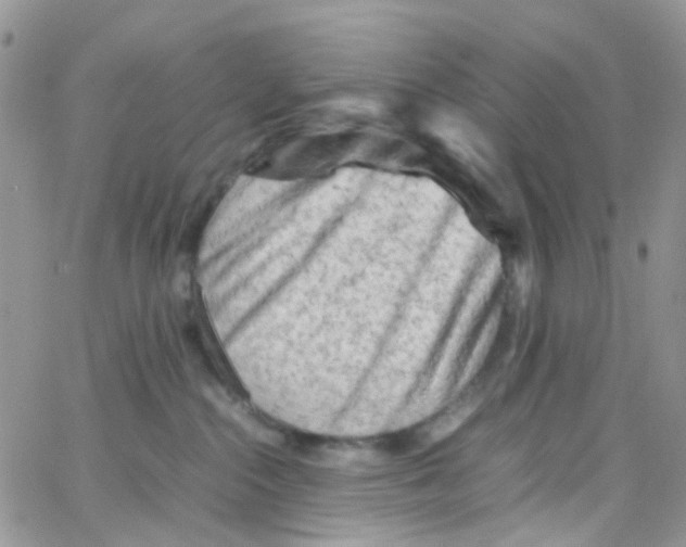 X0000065250284200603131135