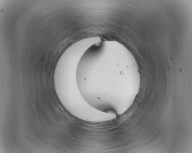 X0000065250288200603131136