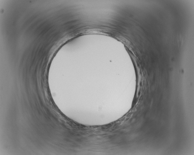 X0000065250289200603131135