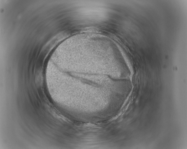 X0000065250290200603131135