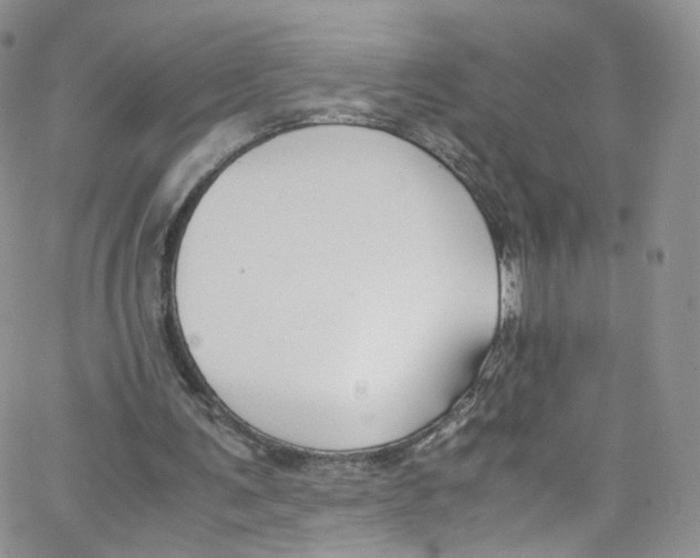 X0000065250291200603131135