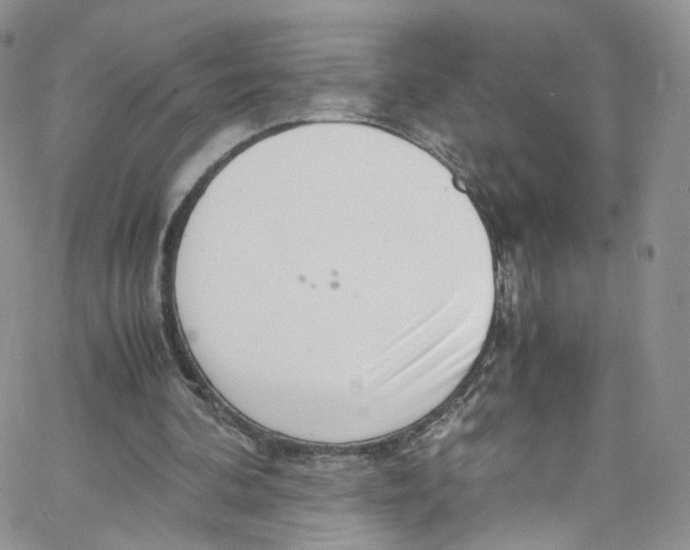 X0000065250292200603131135