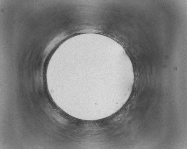 X0000065250296200603131135