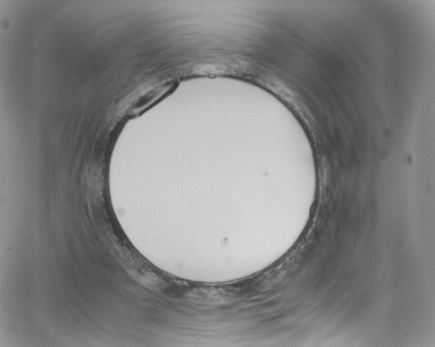 X0000065250297200603131135