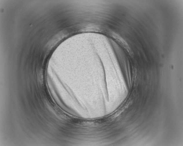 X0000065250298200603131135