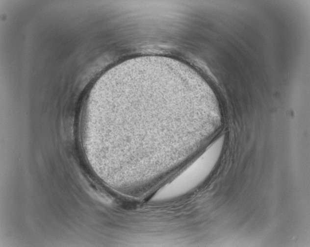 X0000065250299200603131135