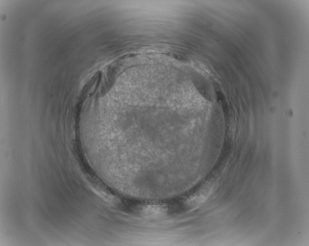 X0000065250303200603131135