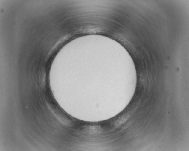 X0000065250304200603131134