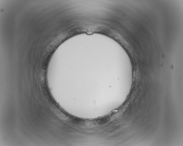 X0000065250305200603131134