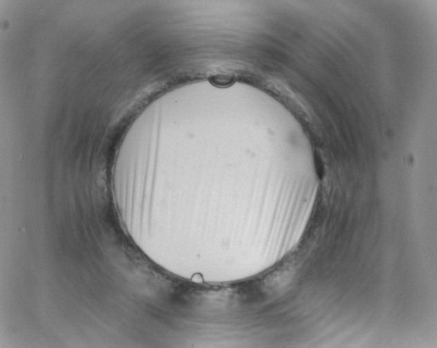 X0000065250306200603131134