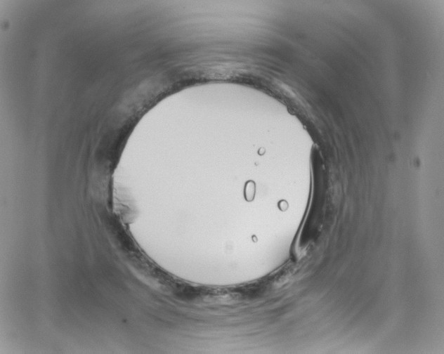 X0000065250307200603131134