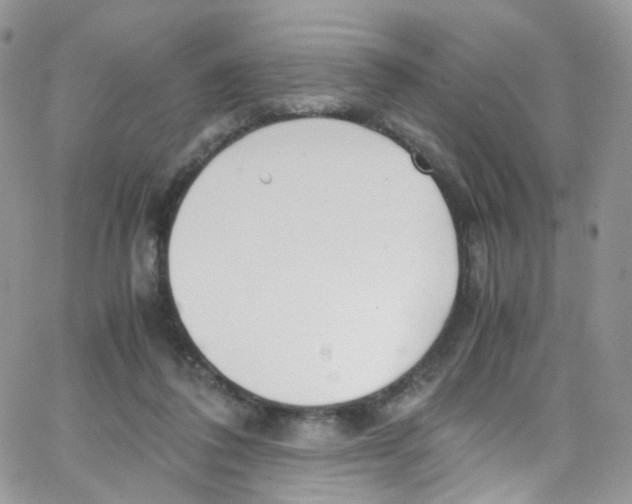 X0000065250308200603131134