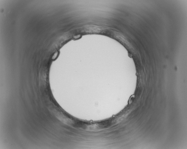 X0000065250309200603131134