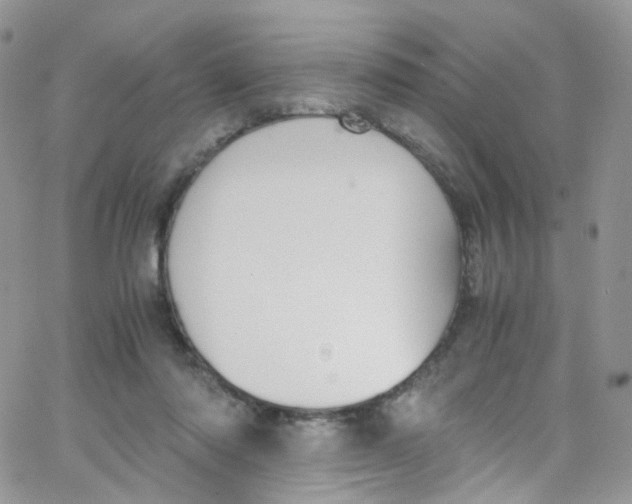 X0000065250310200603131134