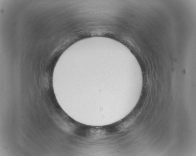 X0000065250311200603131134