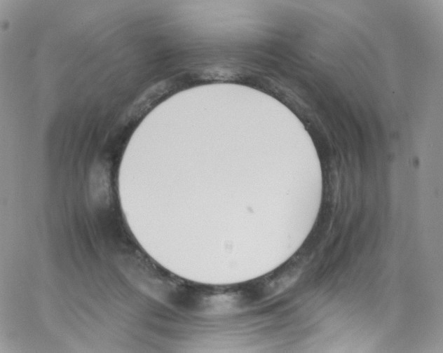 X0000065250312200603131134