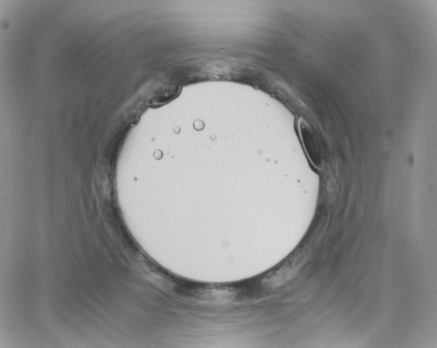 X0000065250313200603131134